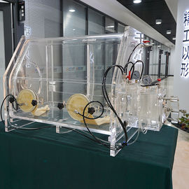 벤치 실험실을 위한 진공 대기권 보호를 가진 최고 진공 글로브 박스