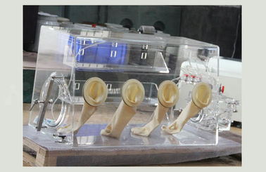 공기 정화를 급수하 산소 없이 진공 글로브 박스에 동전 세포